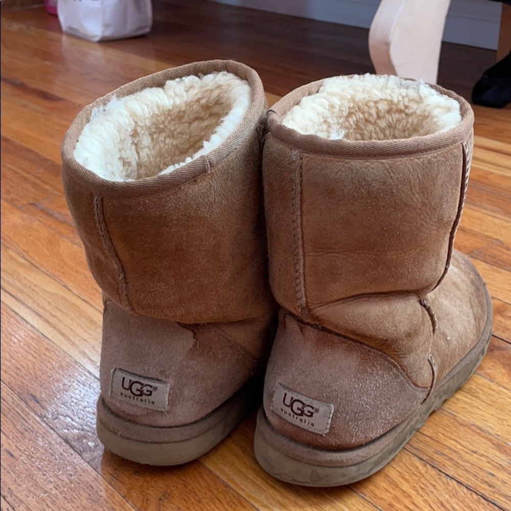 Chestnut Short Ugg Boots